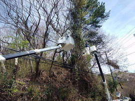 今泉さわやかセンクー前の　樹木の伐採